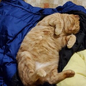 Meet your Posher, Tim